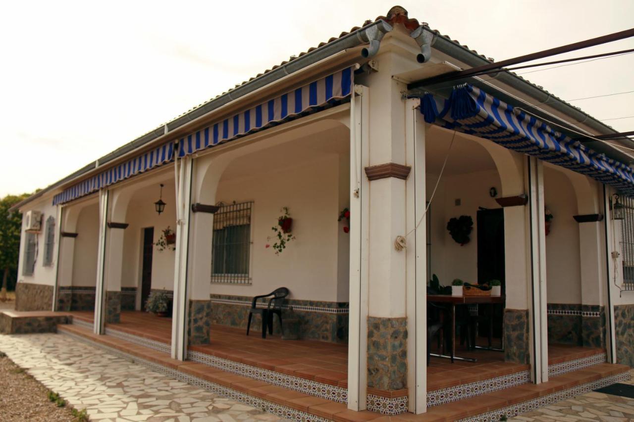 El Olmo Guest House Posadas Eksteriør bilde