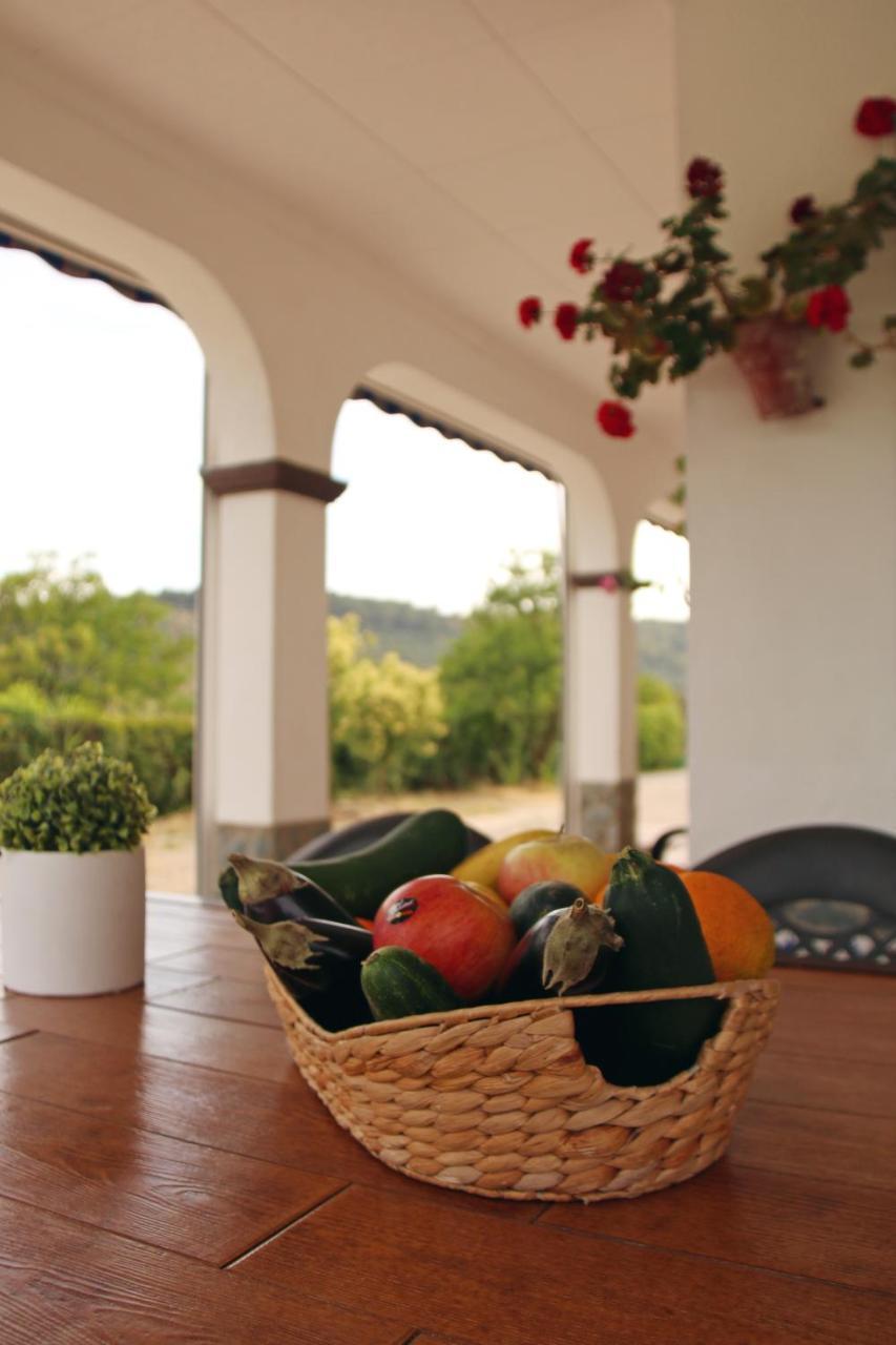 El Olmo Guest House Posadas Eksteriør bilde